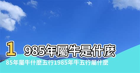 1985是什麼牛|【1985是什麼牛】1985是哪一類牛？屬相五行特質報你知！